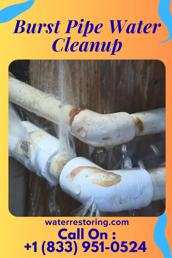 Burst Pipe Water Cleanup in Mountlake Terrace, WA