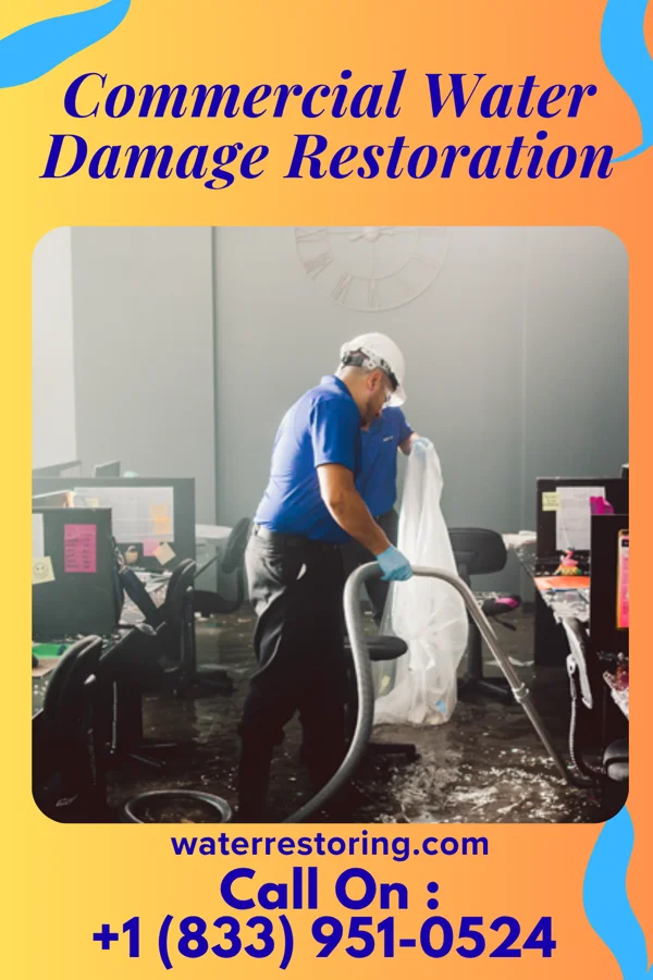 Commercial Water Damage Restoration in Mountlake Terrace, WA