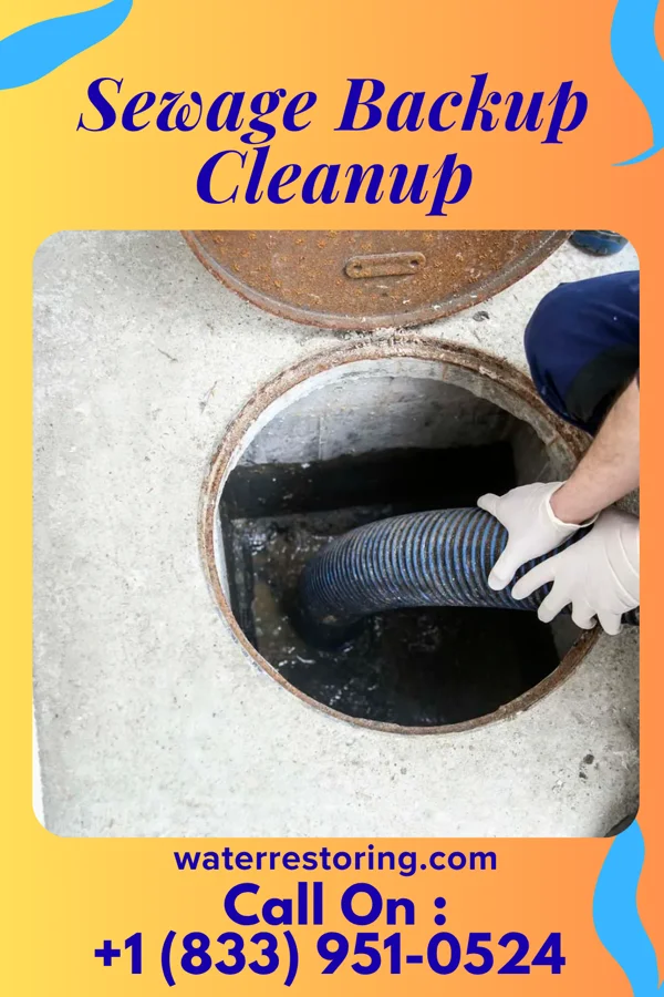 Sewage Backup Cleanup in Mountlake Terrace, WA
