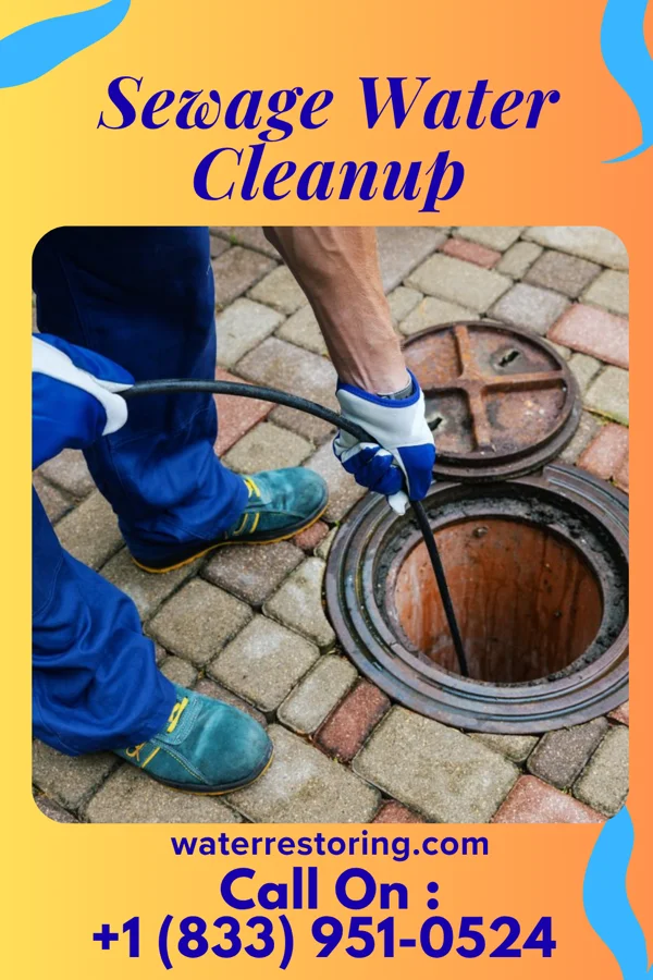 Sewage Water Cleanup in Mountlake Terrace, WA